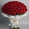Букет 101 Красная роза Блэк Мэджик в Суровикино