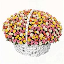 Премиум букет из: Розы в Суровикино