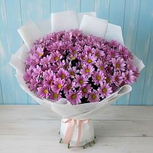Букет цветов из:  Хризантемы в Суровикино