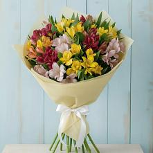 Букет цветов из:  Альстромерии в Суровикино