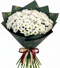 Букет цветов из:  Хризантемы в Суровикино