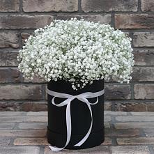 Цветочная композиция из Гипсофила в шляпной коробке в Суровикино