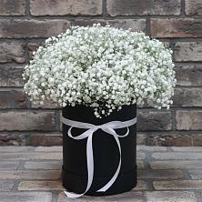 Цветочная композиция из Гипсофила в шляпной коробке в Суровикино