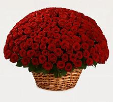 Премиум букет из: Розы в Суровикино